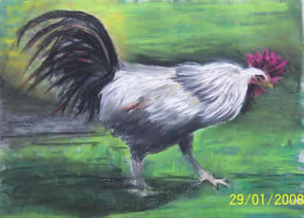 horoz2