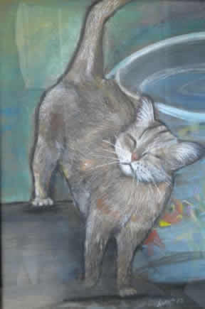 kedi15