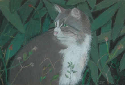 kedi8