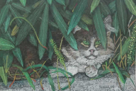 kedi9
