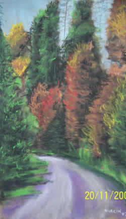 yol